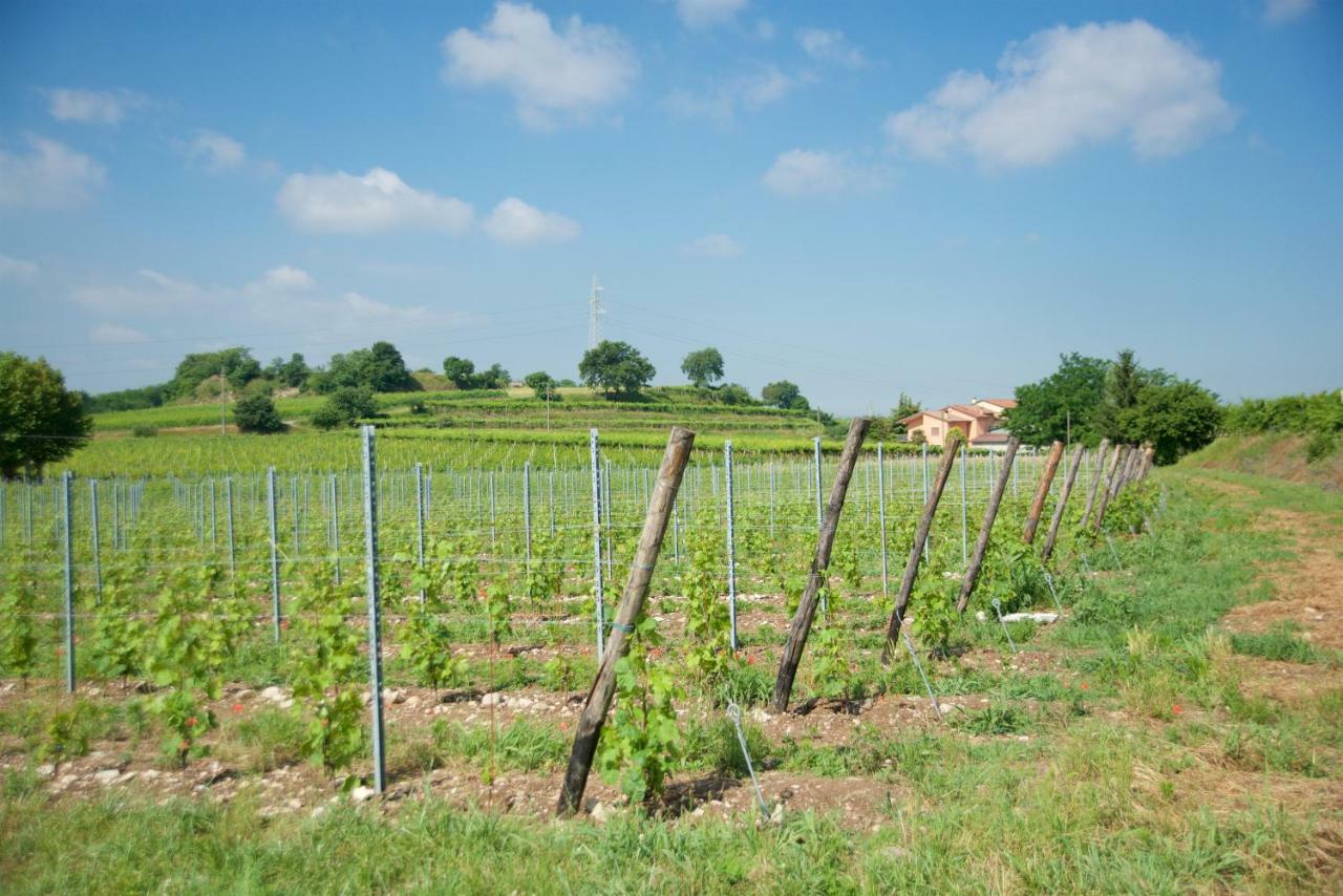Agriturismo Albarello سونا المظهر الخارجي الصورة