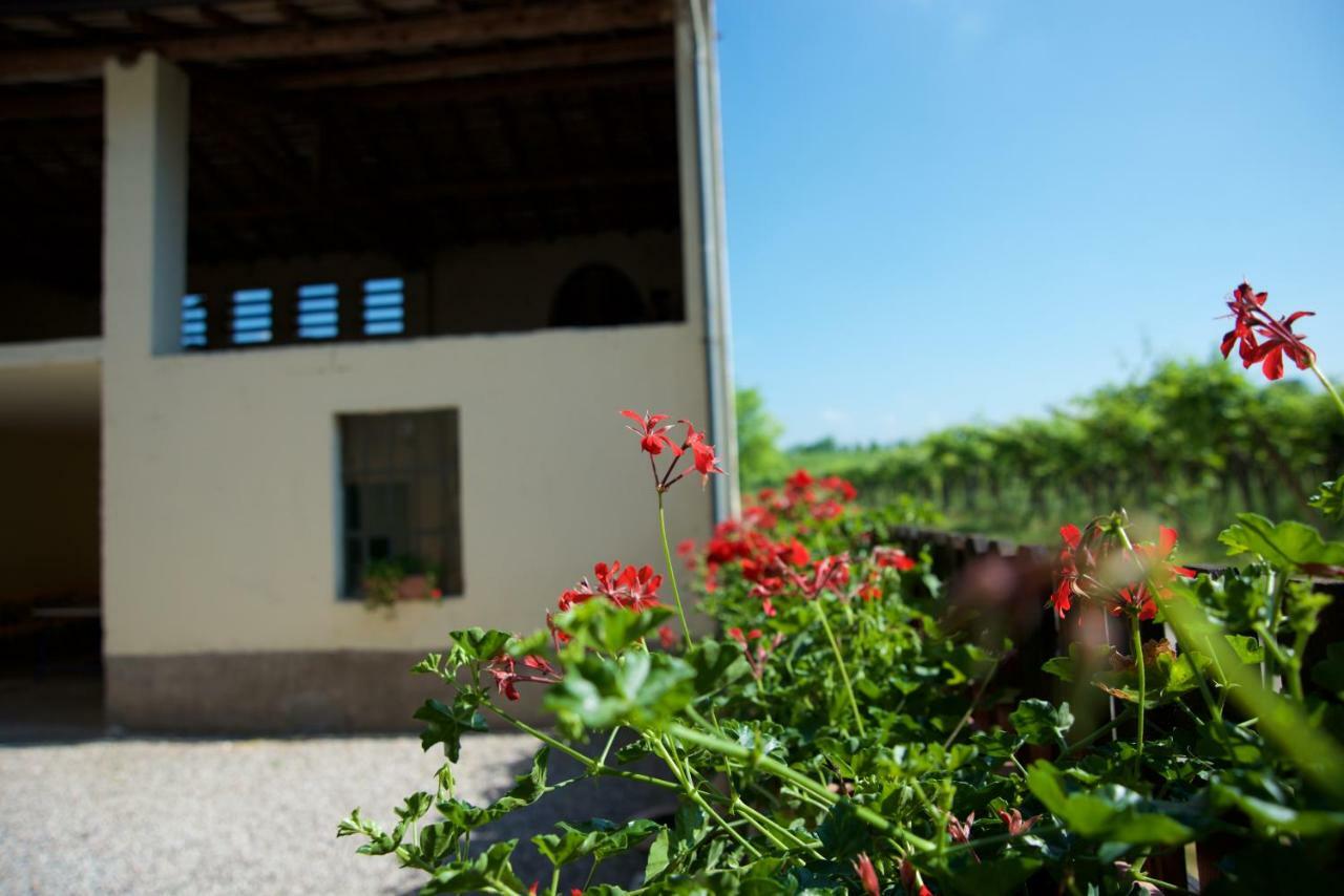 Agriturismo Albarello سونا المظهر الخارجي الصورة