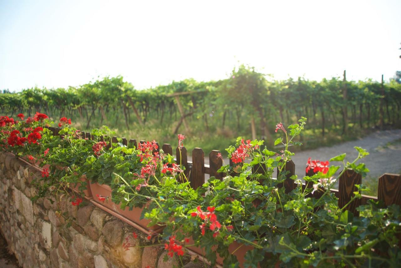 Agriturismo Albarello سونا المظهر الخارجي الصورة